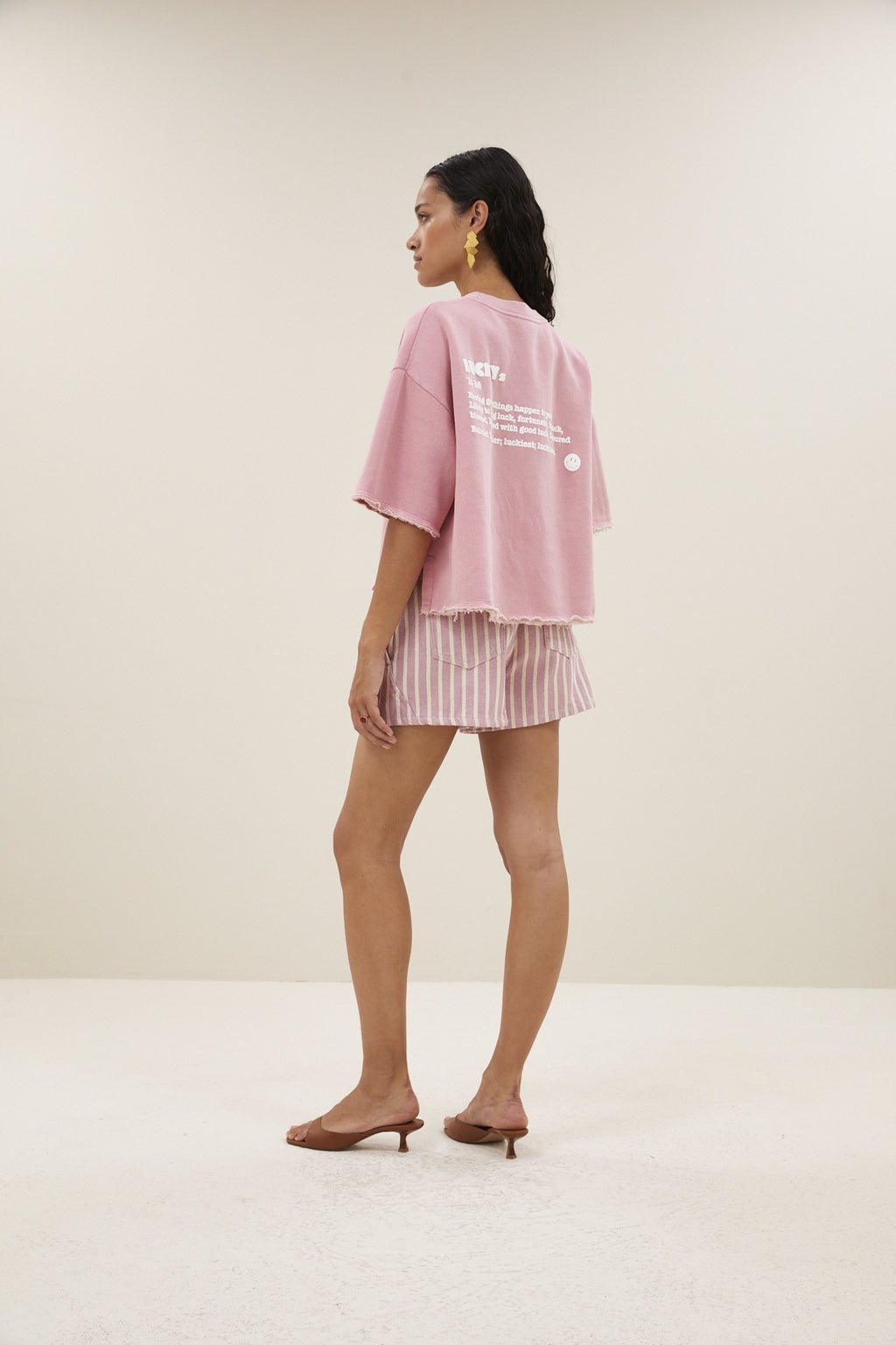 Willow Dictionary Top